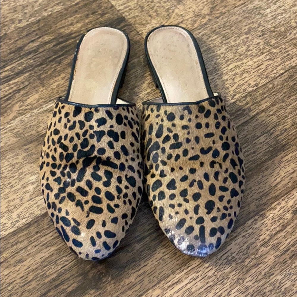 Yosi Samra mules